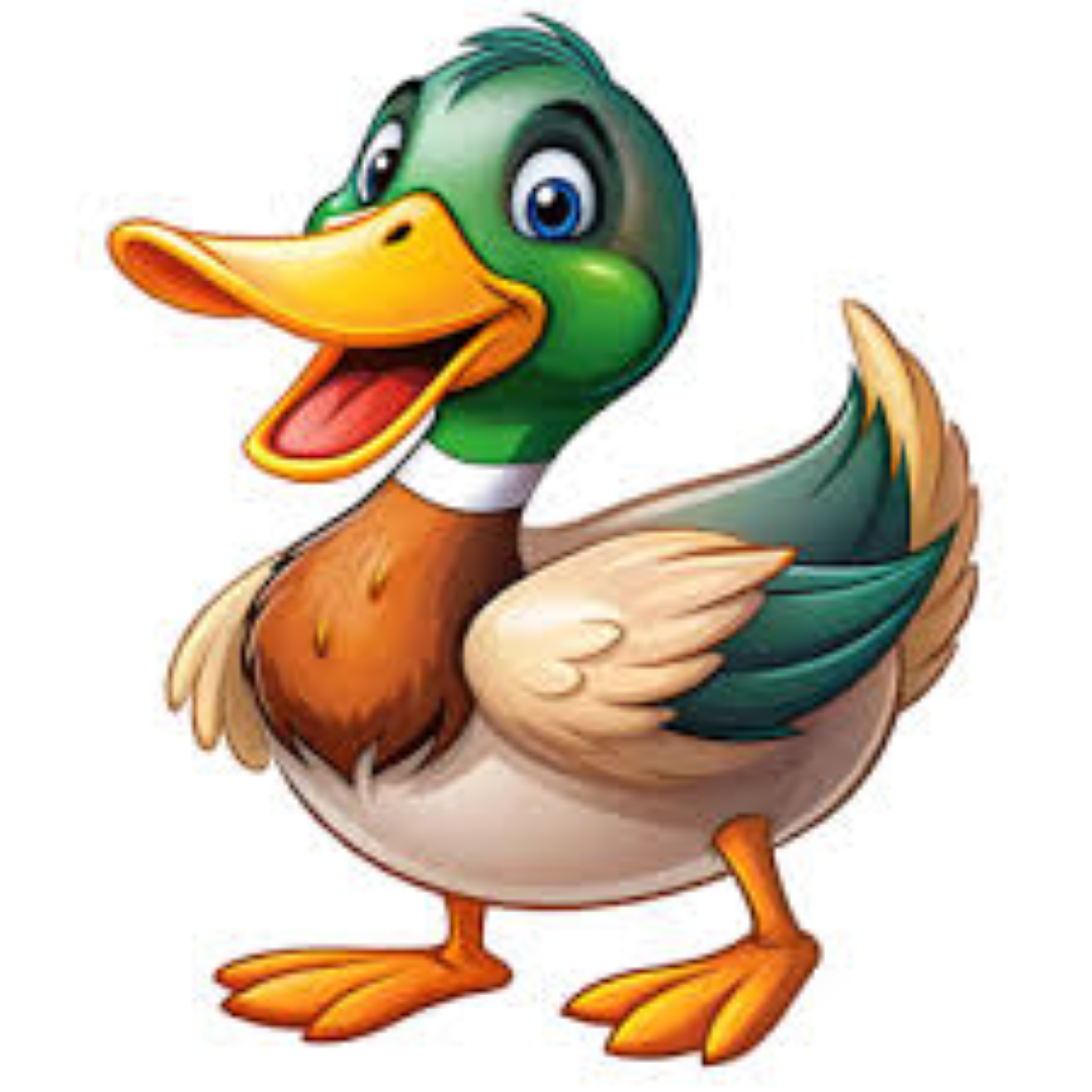 DUCK SMILE 700673